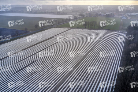 Symbolfoto Erntehelfer Notstand