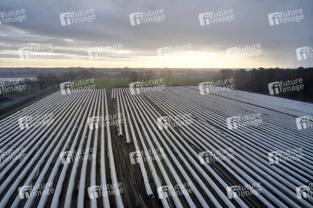 Symbolfoto Erntehelfer Notstand