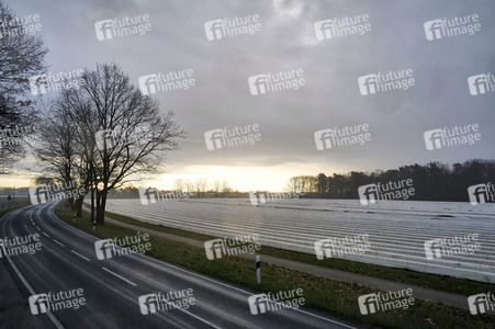 Symbolfoto Erntehelfer Notstand