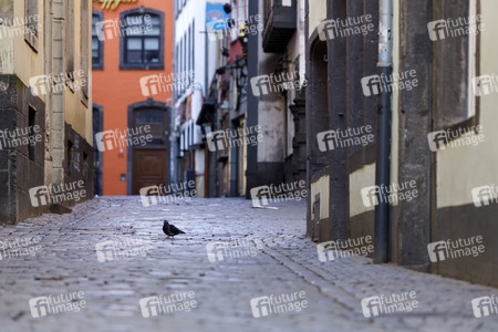 Symbolfoto Corona in Köln