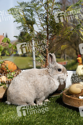 Symbolfoto Ostern
