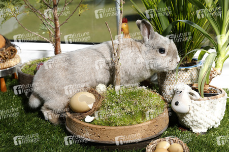 Symbolfoto Ostern