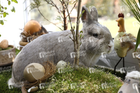 Symbolfoto Ostern