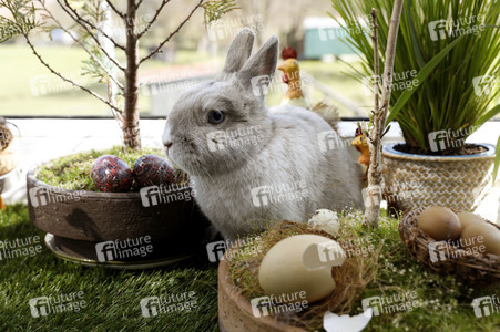 Symbolfoto Ostern