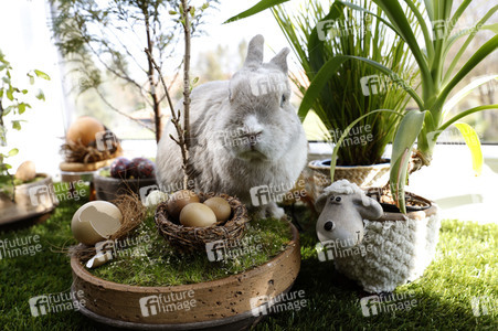 Symbolfoto Ostern