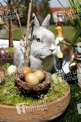 Symbolfoto Ostern