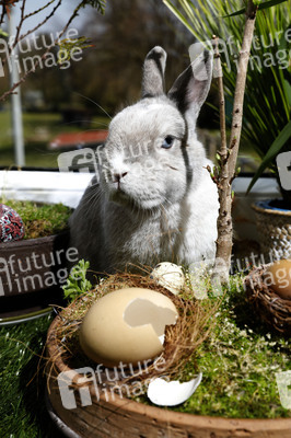 Symbolfoto Ostern