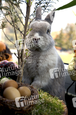 Symbolfoto Ostern