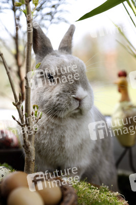 Symbolfoto Ostern