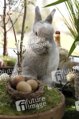 Symbolfoto Ostern