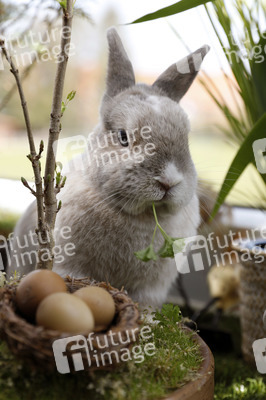 Symbolfoto Ostern