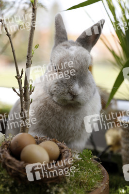 Symbolfoto Ostern