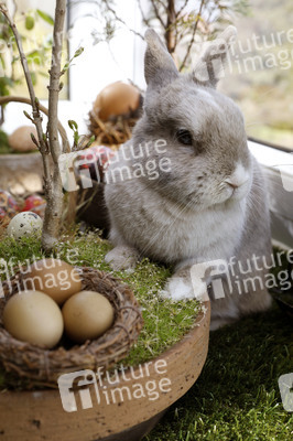 Symbolfoto Ostern