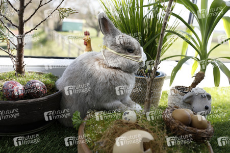 Symbolfoto Ostern