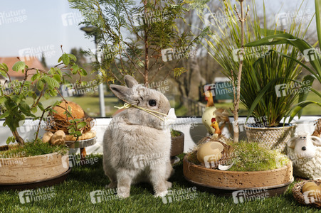 Symbolfoto Ostern