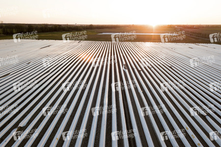 Symbolfoto Spargelfelder in Beelitz