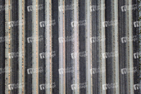 Symbolfoto Spargelfelder in Beelitz