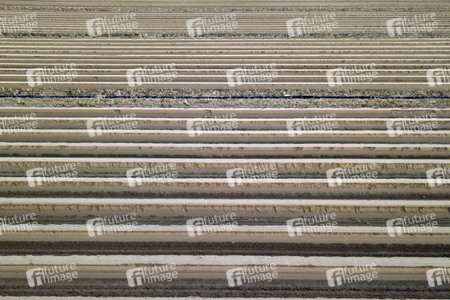 Symbolfoto Spargelfelder in Beelitz