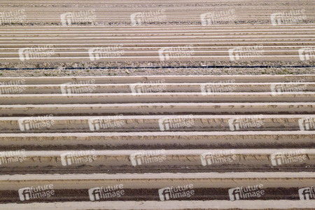 Symbolfoto Spargelfelder in Beelitz