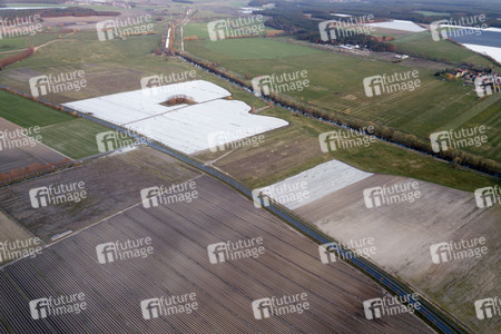 Symbolfoto Spargelfelder in Beelitz