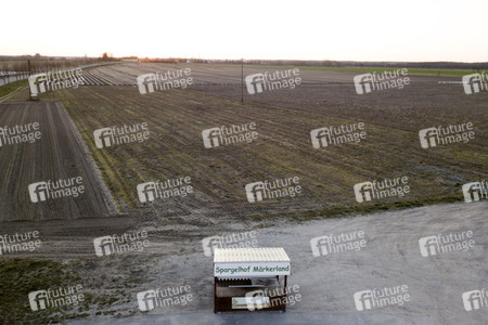 Symbolfoto Spargelfelder in Beelitz