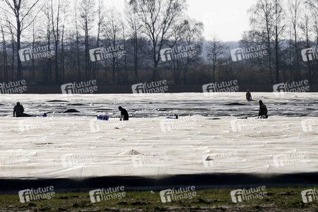 Eröffnung der Spargelsaison 2020 in Beelitz