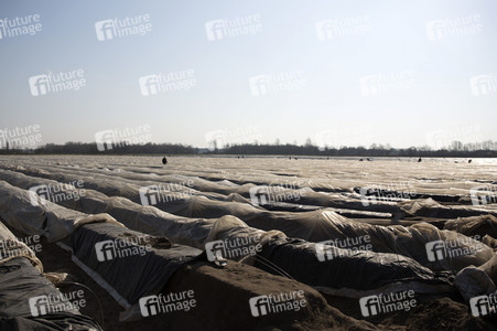 Eröffnung der Spargelsaison 2020 in Beelitz