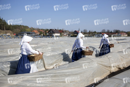 Eröffnung der Spargelsaison 2020 in Beelitz