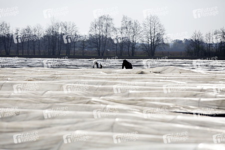 Eröffnung der Spargelsaison 2020 in Beelitz