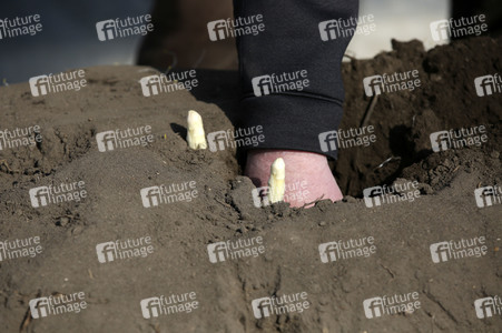 Eröffnung der Spargelsaison 2020 in Beelitz