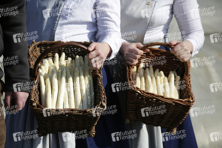 Eröffnung der Spargelsaison 2020 in Beelitz