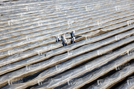 Eröffnung der Spargelsaison 2020 in Beelitz