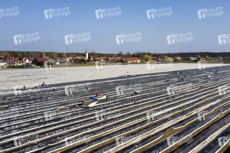 Eröffnung der Spargelsaison 2020 in Beelitz