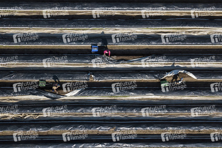 Eröffnung der Spargelsaison 2020 in Beelitz