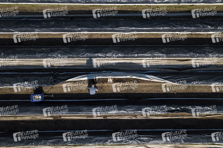 Eröffnung der Spargelsaison 2020 in Beelitz