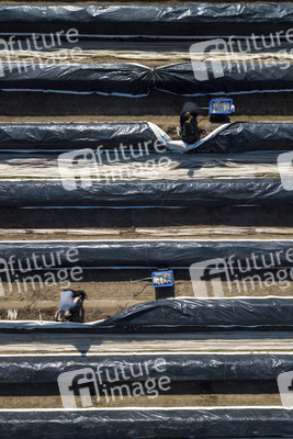 Eröffnung der Spargelsaison 2020 in Beelitz