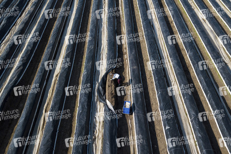 Eröffnung der Spargelsaison 2020 in Beelitz