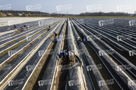 Eröffnung der Spargelsaison 2020 in Beelitz