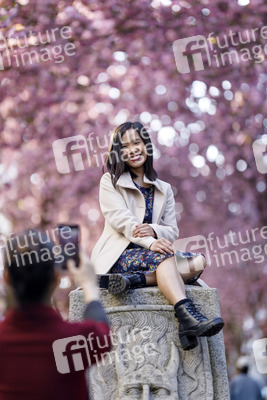 Kirschblüte in Bonn