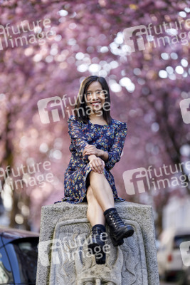 Kirschblüte in Bonn