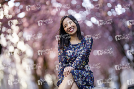 Kirschblüte in Bonn