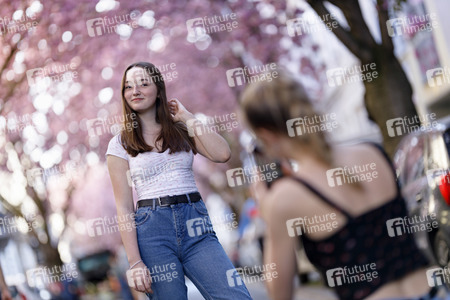 Kirschblüte in Bonn