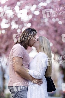 Kirschblüte in Bonn