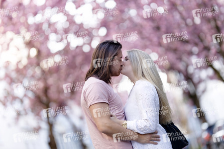 Kirschblüte in Bonn