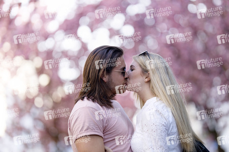 Kirschblüte in Bonn