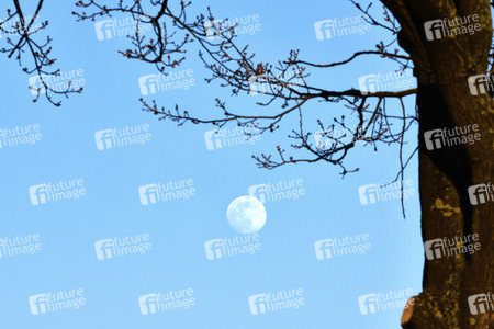 Supermond über Hannover