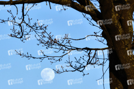 Supermond über Hannover