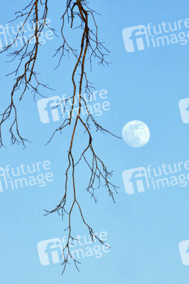 Supermond über Hannover