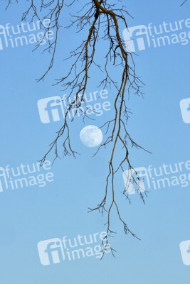 Supermond über Hannover