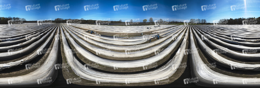 Spargelernte in Fuhrberg